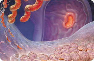 Обложка статьи