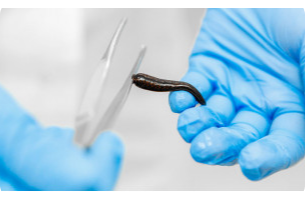 Обложка статьи